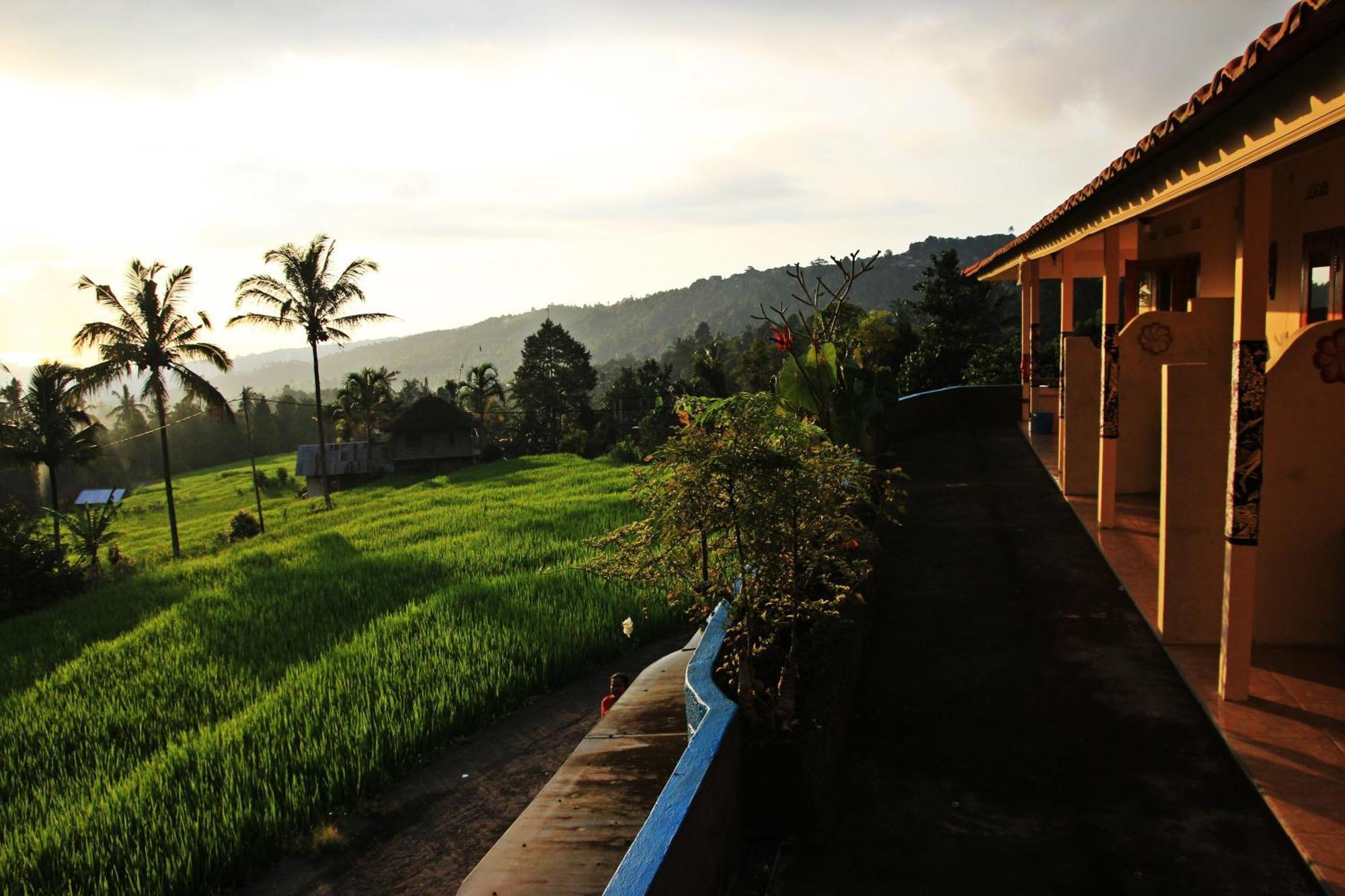 Gangga Homestay Munduk Exteriör bild