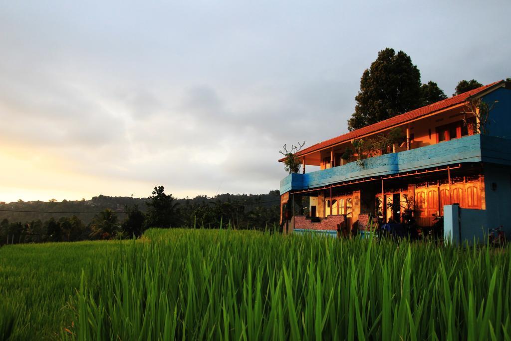 Gangga Homestay Munduk Exteriör bild